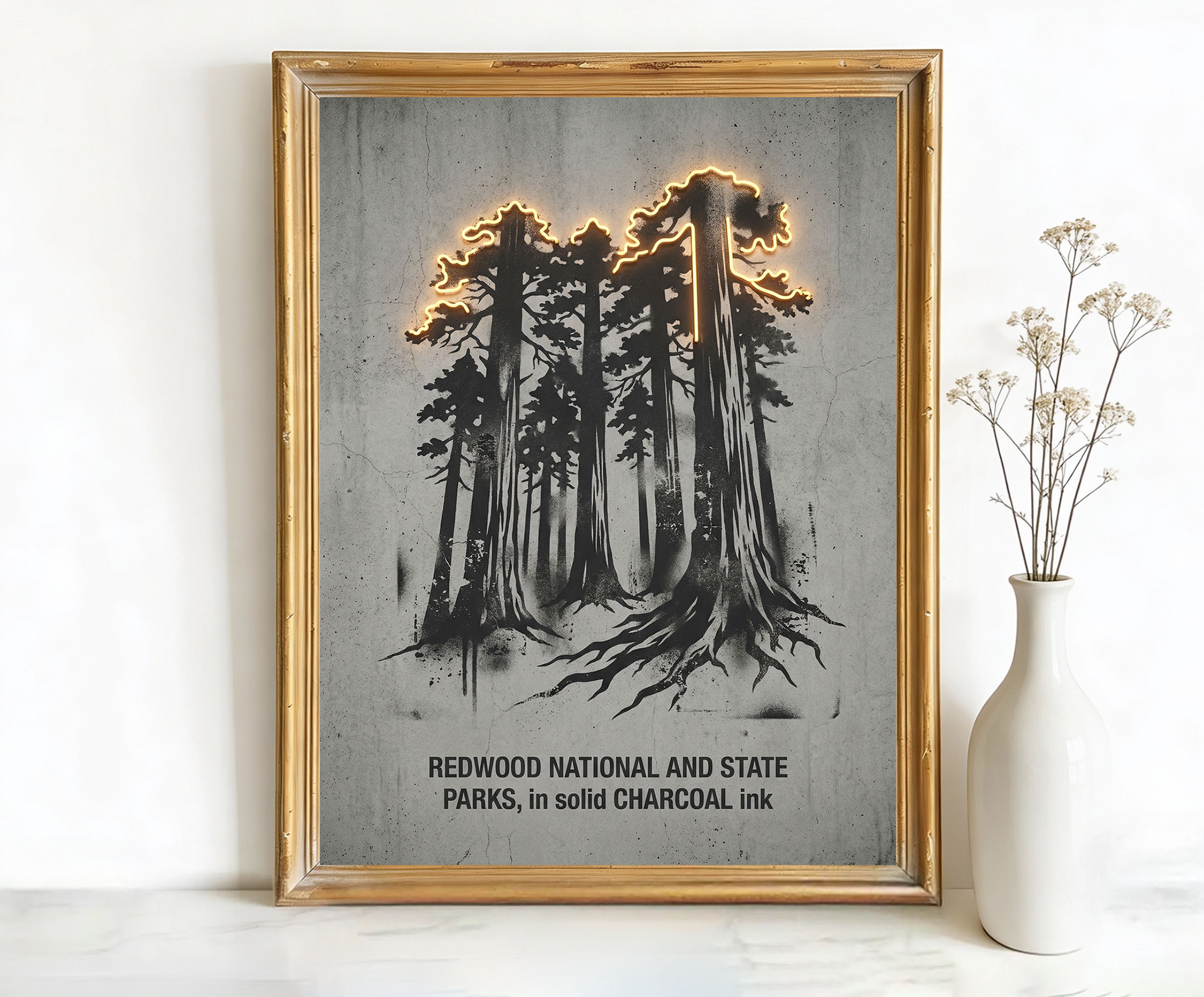 Redwood National and State Parks California Trees Art