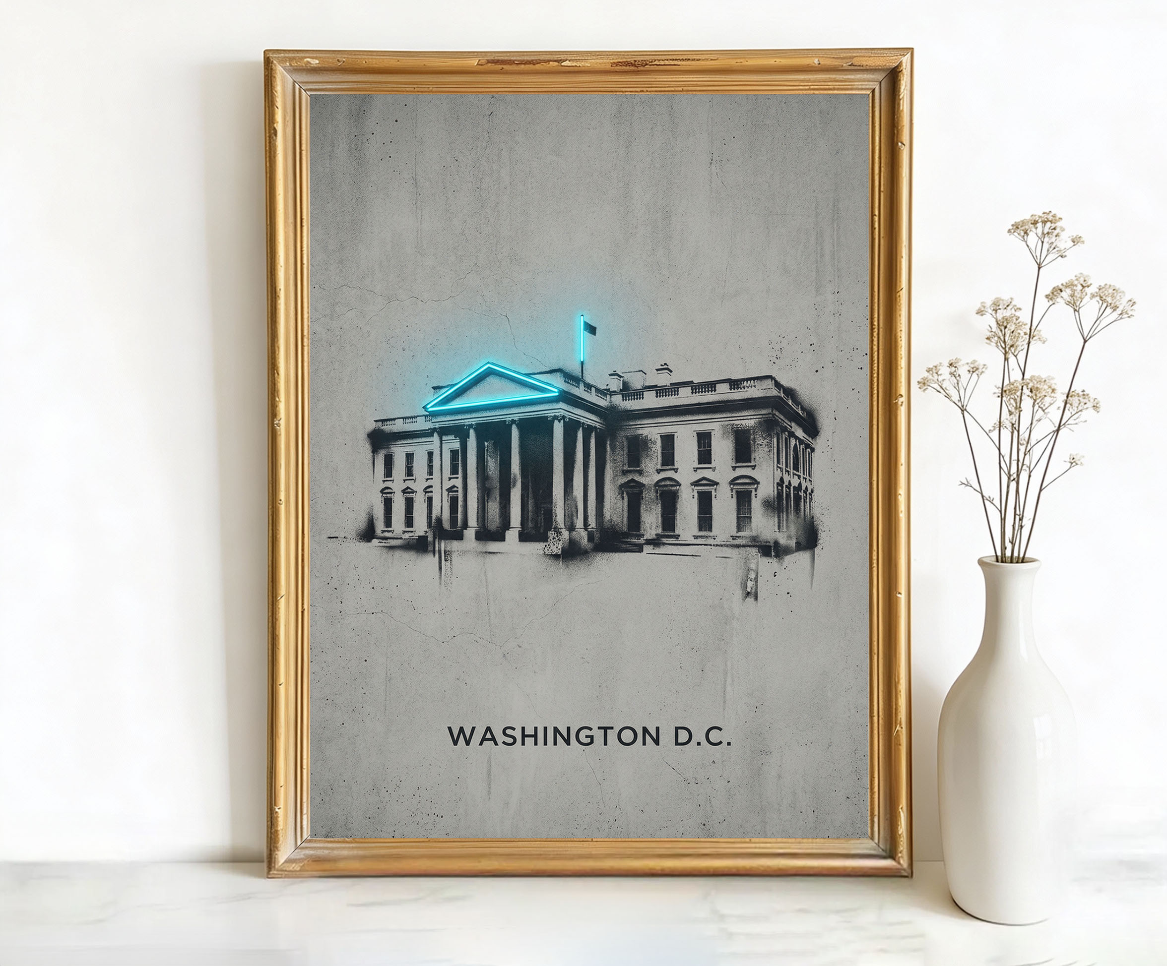 Washington D.C. District of Columbia White House Art