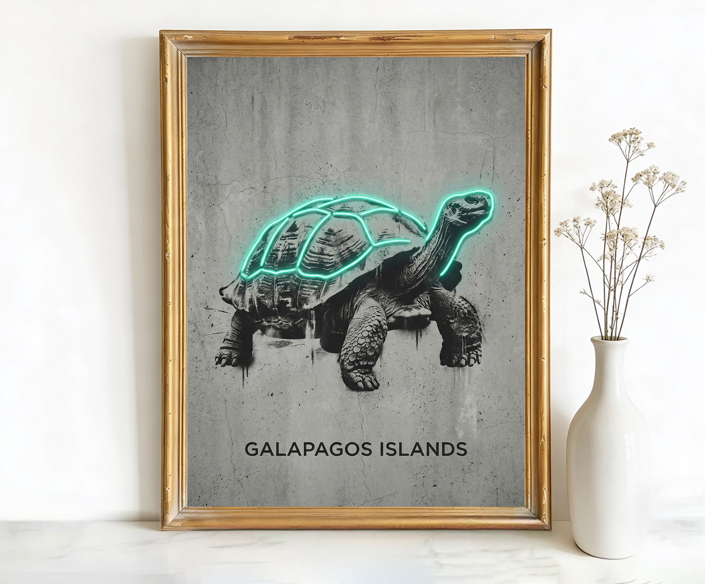 Galapagos Islands Ecuador Giant Tortoise Art